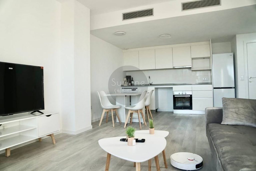Rent of a modern apartment with a terrace and views of the City of Arts and Sciences